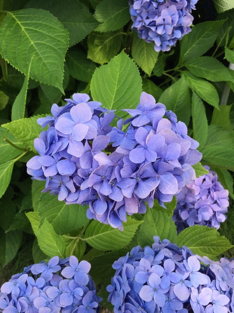 f:id:unitten:20150623155907j:image f:id:unitten:20150623155907j:image
