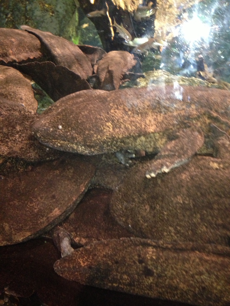 f:id:unitten:20150727200119j:image f:id:unitten:20150727200119j:image