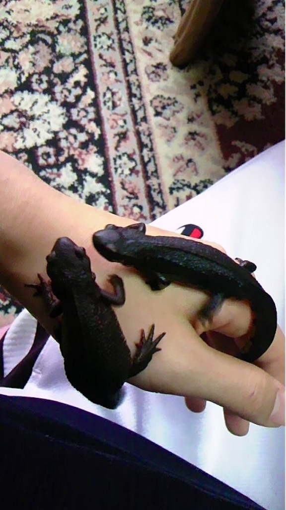 f:id:unitten:20150727200320j:image f:id:unitten:20150727200320j:image
