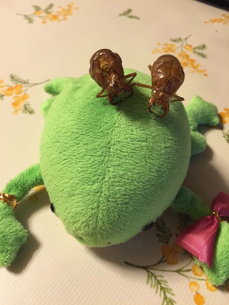 f:id:unitten:20150826132206j:image f:id:unitten:20150826132206j:image
