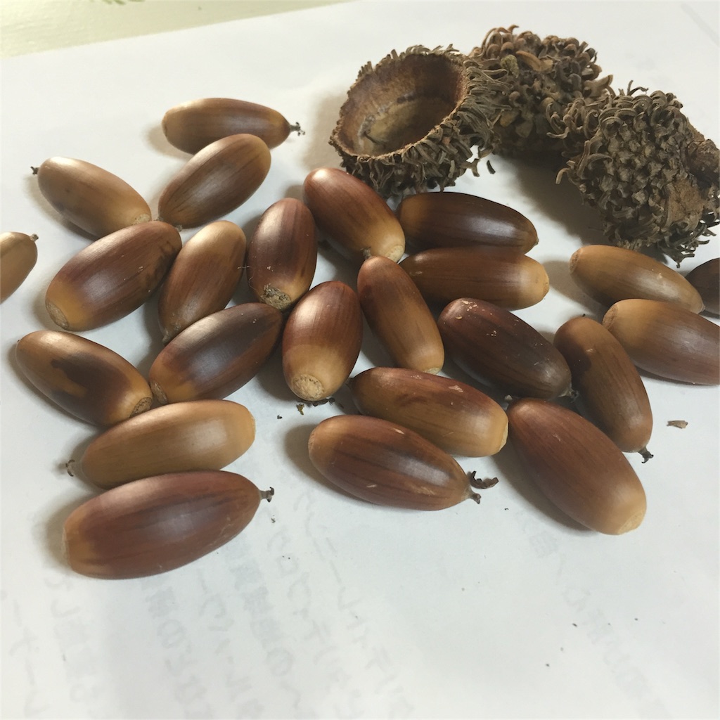 f:id:unitten:20151105134132j:image f:id:unitten:20151105134132j:image