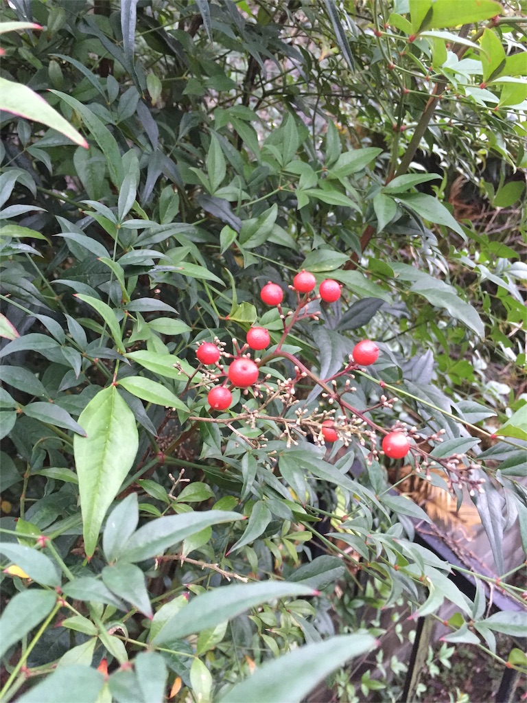 f:id:unitten:20151119071722j:image f:id:unitten:20151119071722j:image
