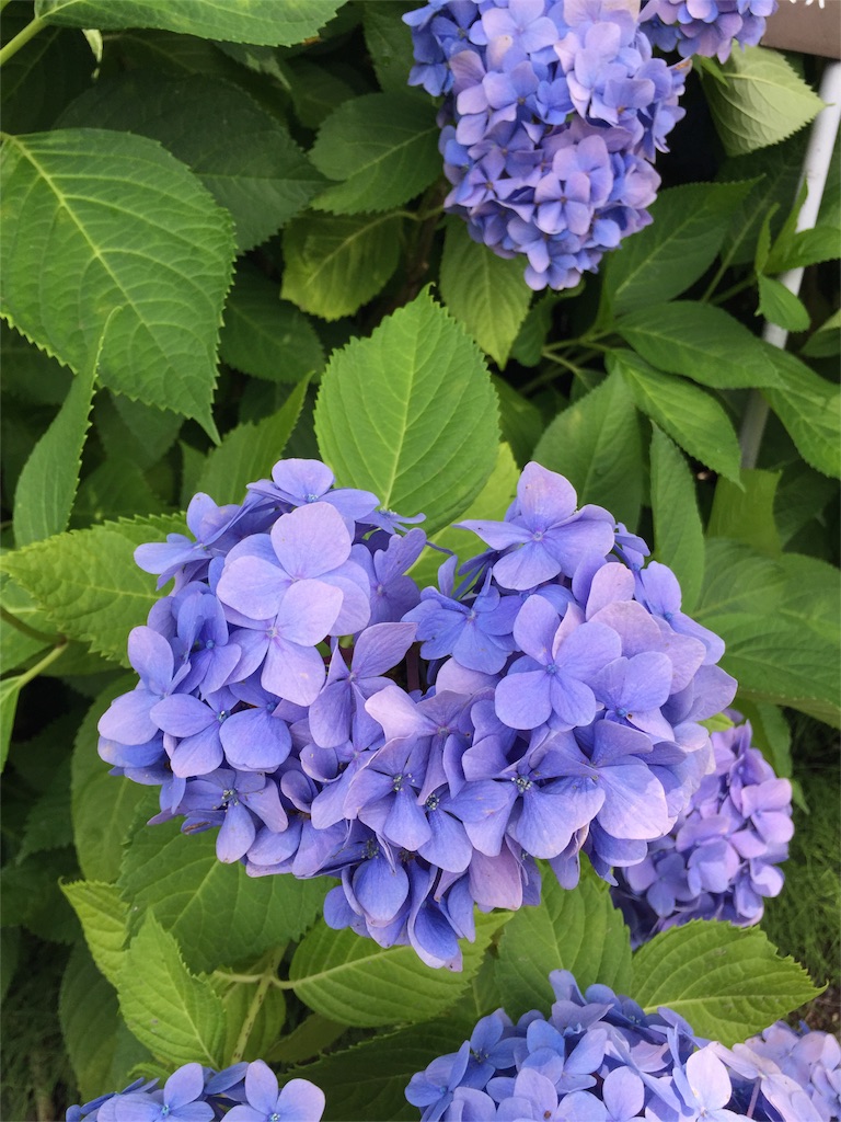 f:id:unitten:20151122200059j:image f:id:unitten:20151122200059j:image