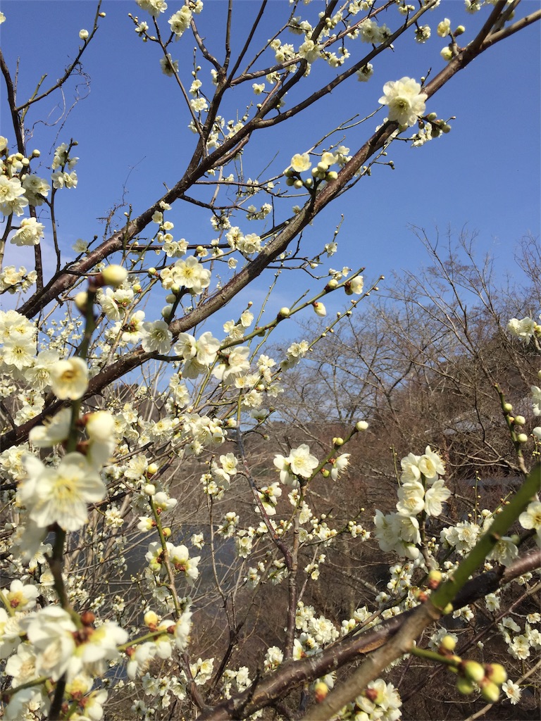 f:id:unitten:20160306181948j:image f:id:unitten:20160306181948j:image