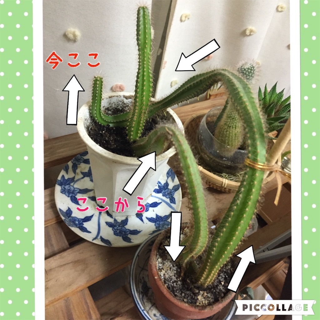 f:id:unitten:20160404004200j:image f:id:unitten:20160404004200j:image