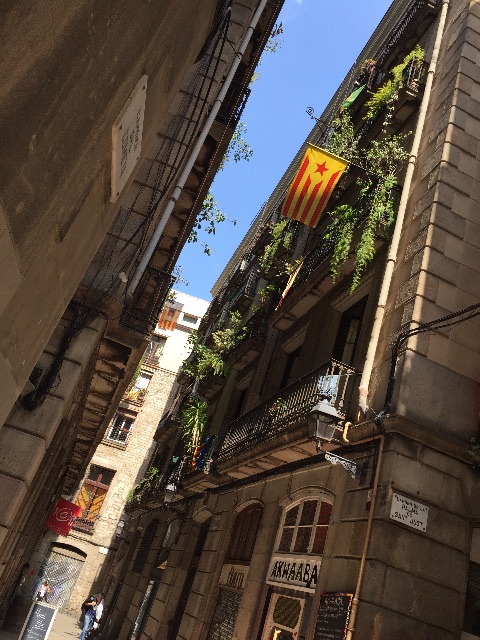 f:id:unpoquito:20150509055259j:image f:id:unpoquito:20150509055259j:image