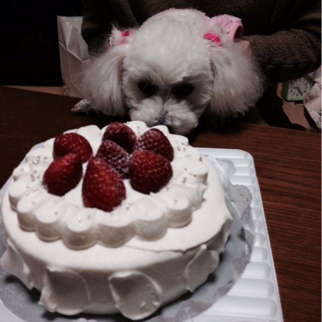 f:id:upaupaupako:20140102203908j:plain f:id:upaupaupako:20140102203908j:plain