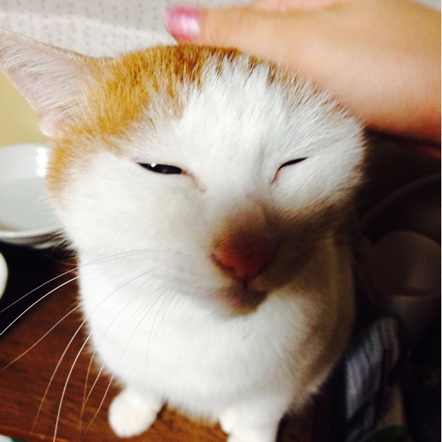 f:id:upaupaupako:20140102204002j:plain f:id:upaupaupako:20140102204002j:plain