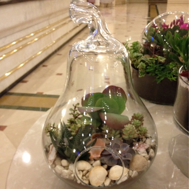 f:id:upaupaupako:20140113133705j:plain f:id:upaupaupako:20140113133705j:plain