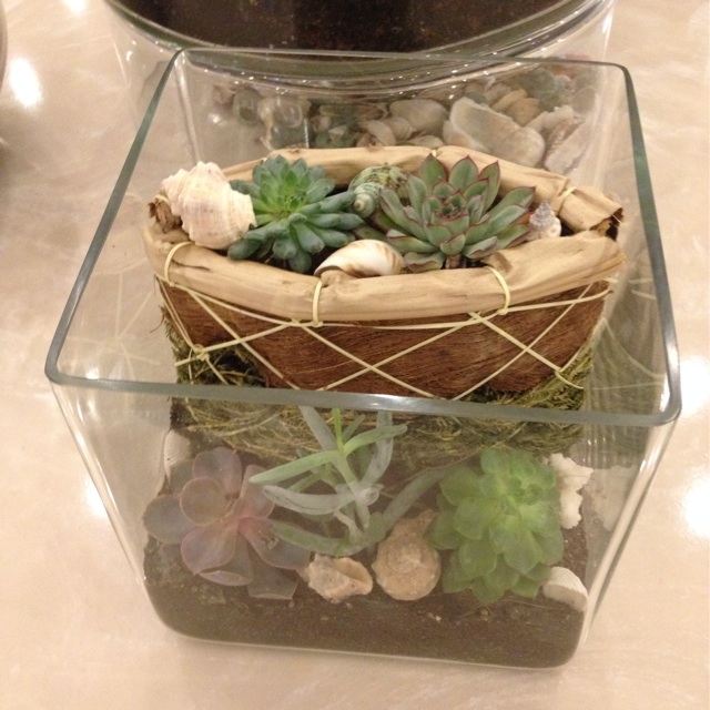 f:id:upaupaupako:20140113133937j:plain f:id:upaupaupako:20140113133937j:plain