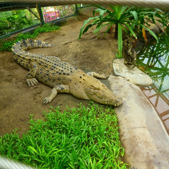f:id:upaupaupako:20140317101217j:plain f:id:upaupaupako:20140317101217j:plain