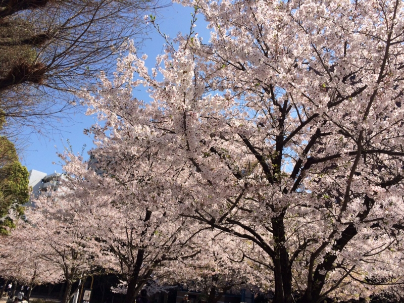 f:id:uralatokyo:20150519142802j:plain