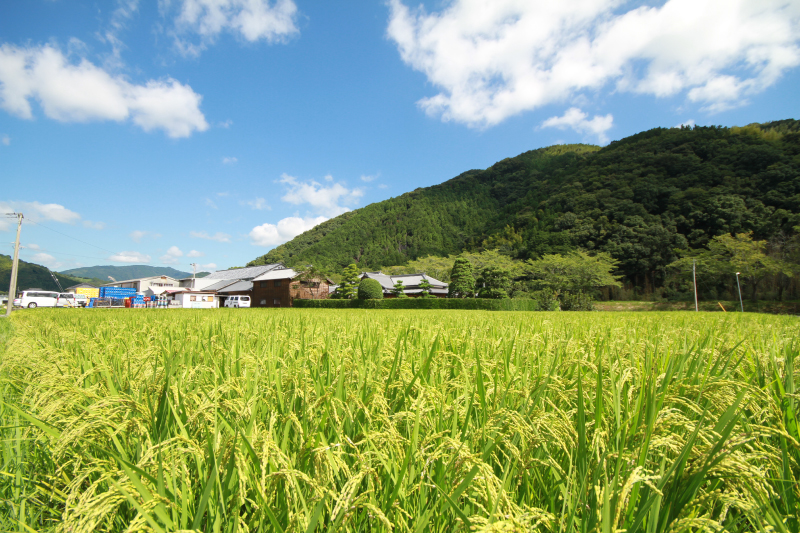 f:id:uralatokyo:20150903222735j:plain