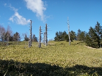 f:id:urano_cobito:20091104021924j:image f:id:urano_cobito:20091104021924j:image