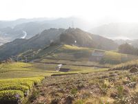 f:id:urano_cobito:20110419172101j:image f:id:urano_cobito:20110419172101j:image
