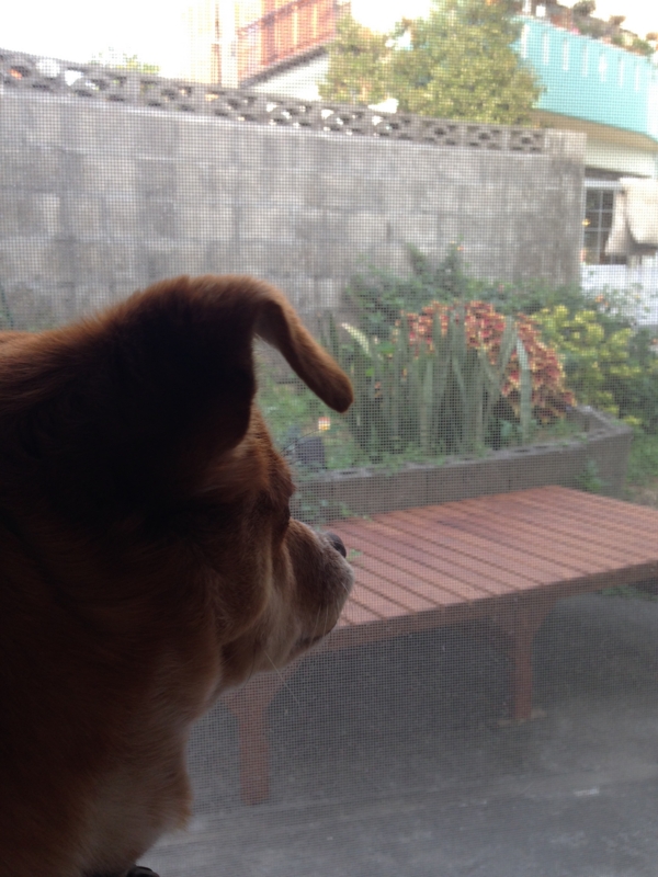 f:id:uripiyorock:20150306225031j:plain f:id:uripiyorock:20150306225031j:plain