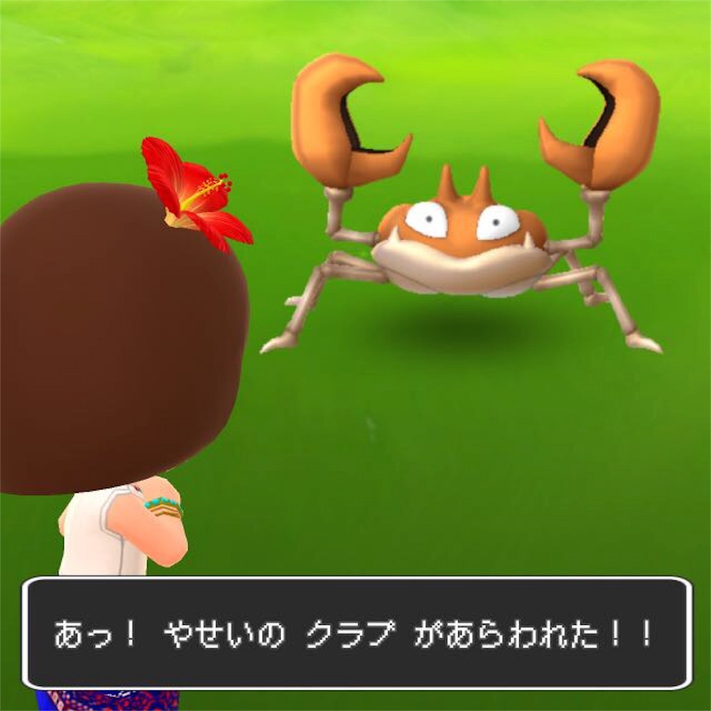 f:id:ursusmaritimus:20160723143006j:image f:id:ursusmaritimus:20160723143006j:image