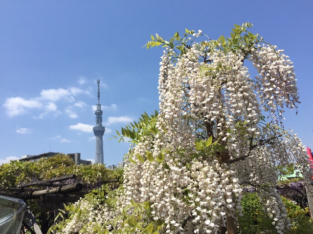 f:id:uruma_zin:20150426220203j:image f:id:uruma_zin:20150426220203j:image