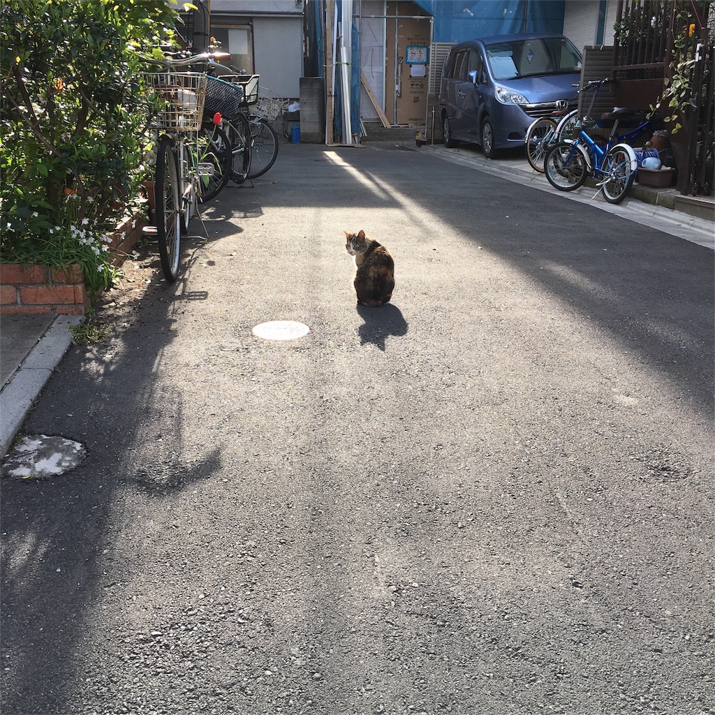 f:id:usagidao:20160519163242j:image f:id:usagidao:20160519163242j:image