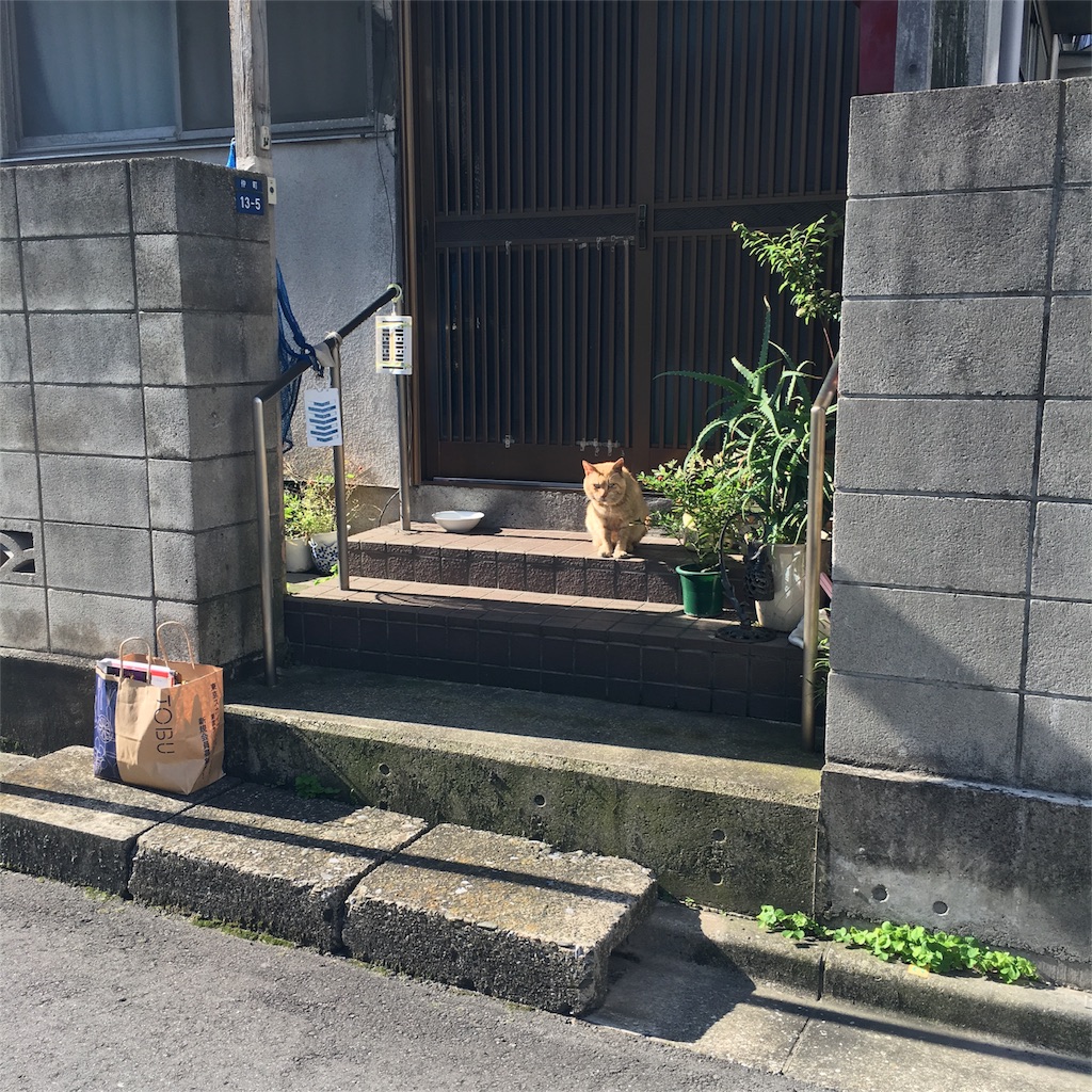 f:id:usagidao:20160519163408j:image f:id:usagidao:20160519163408j:image