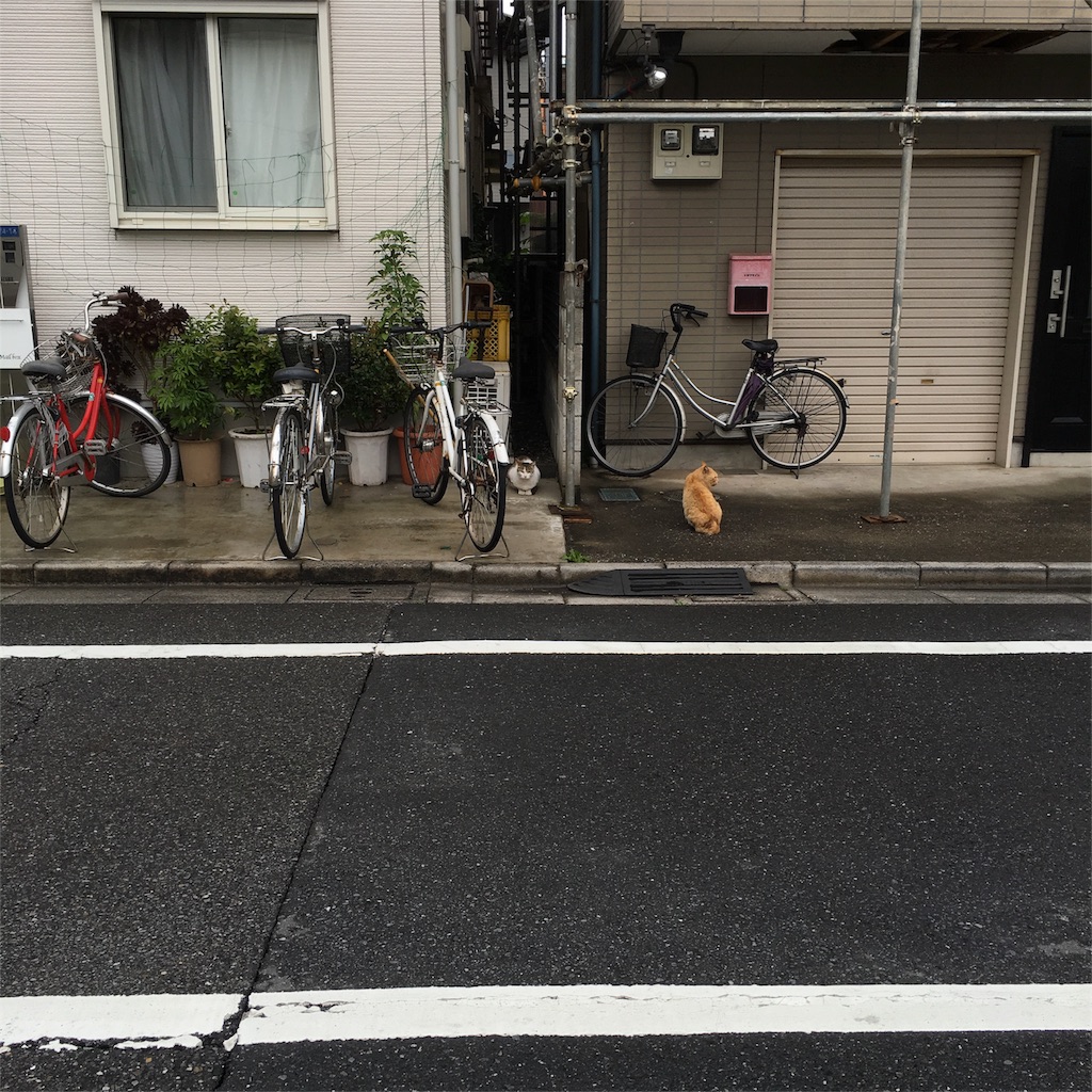 f:id:usagidao:20160519163443j:image f:id:usagidao:20160519163443j:image
