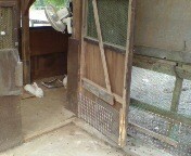 f:id:usakobutyo:20080711143815j:image f:id:usakobutyo:20080711143815j:image