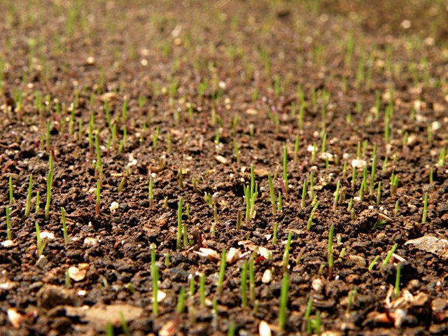 f:id:uta46:20090419091005j:image f:id:uta46:20090419091005j:image