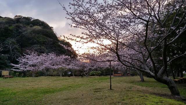 f:id:uta78wallflower:20160406144050j:image f:id:uta78wallflower:20160406144050j:image