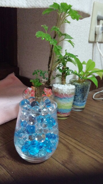 f:id:uta78wallflower:20160714104953j:image f:id:uta78wallflower:20160714104953j:image