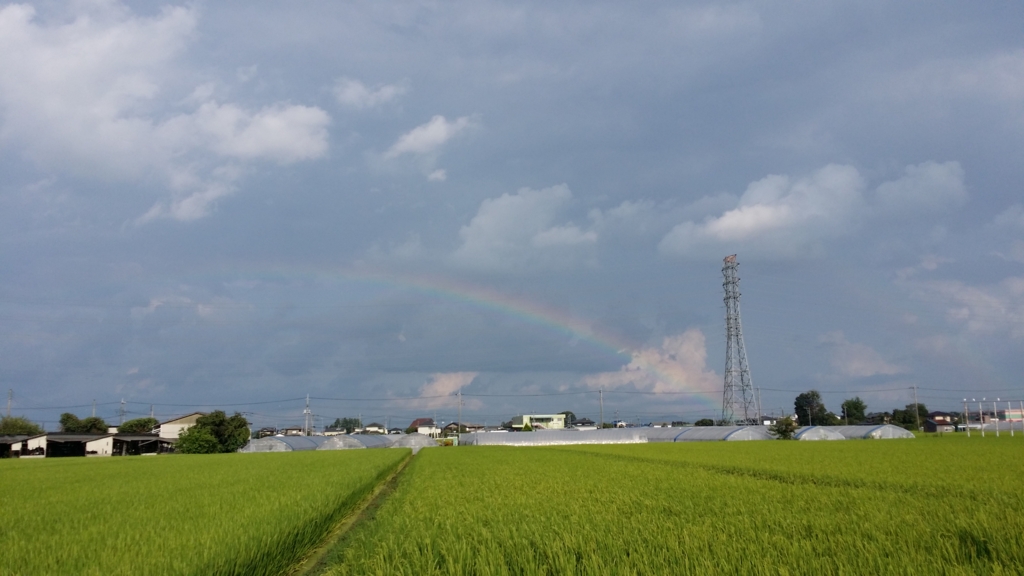 f:id:utaesakana:20150820023214j:plain f:id:utaesakana:20150820023214j:plain