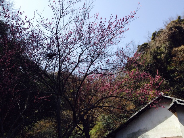 f:id:utakatax:20150328102947j:plain f:id:utakatax:20150328102947j:plain