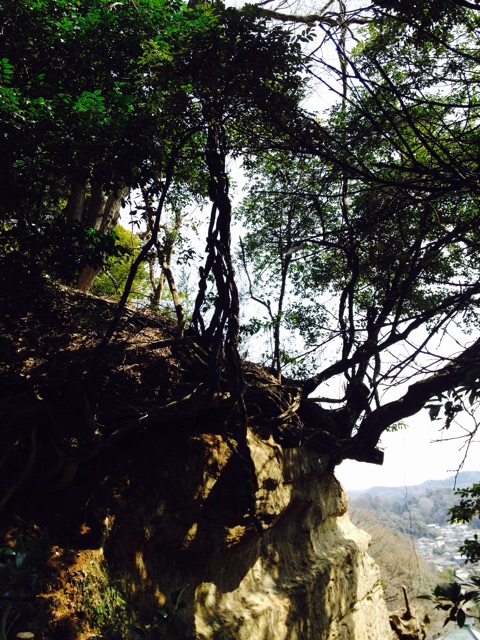 f:id:utakatax:20150328103554j:plain f:id:utakatax:20150328103554j:plain
