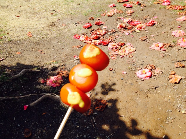 f:id:utakatax:20150329140329j:plain f:id:utakatax:20150329140329j:plain