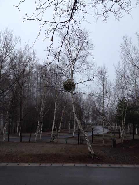 f:id:utakatax:20150408234835j:plain f:id:utakatax:20150408234835j:plain