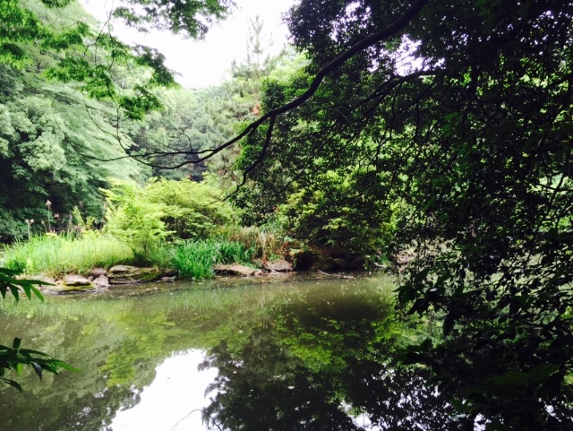 f:id:utakatax:20150616215150j:image f:id:utakatax:20150616215150j:image