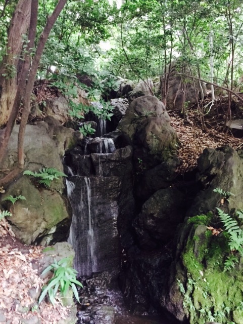 f:id:utakatax:20150616222215j:image f:id:utakatax:20150616222215j:image