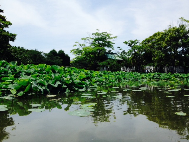 f:id:utakatax:20150619195924j:image f:id:utakatax:20150619195924j:image