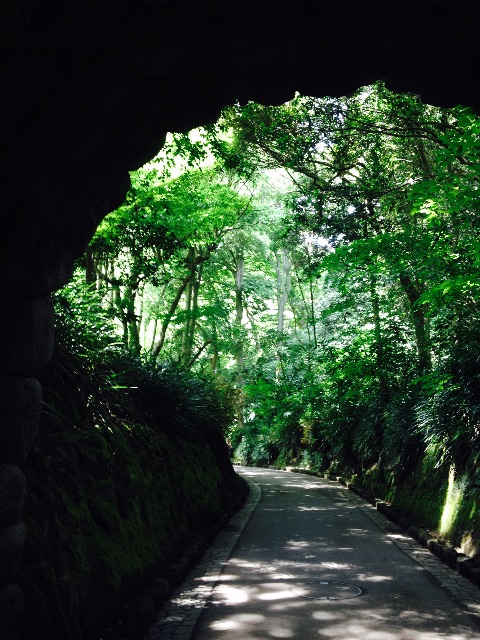 f:id:utakatax:20150619201226j:image f:id:utakatax:20150619201226j:image