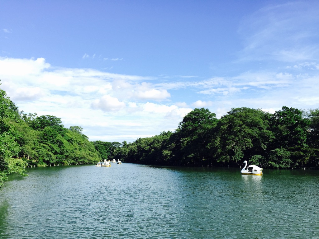 f:id:utakatax:20150719220323j:image f:id:utakatax:20150719220323j:image