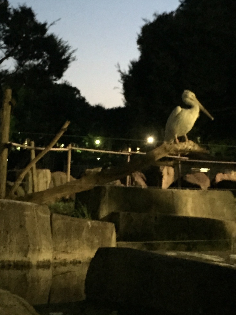 f:id:utakatax:20150817184914j:image f:id:utakatax:20150817184914j:image