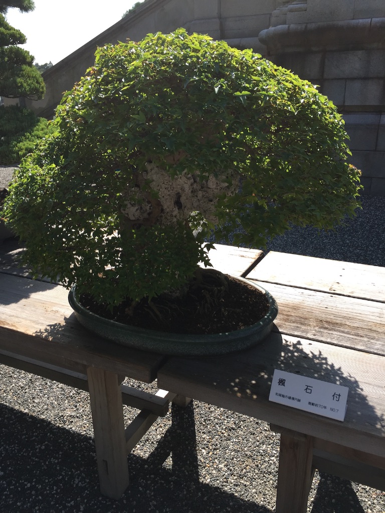f:id:utakatax:20150822211934j:image f:id:utakatax:20150822211934j:image