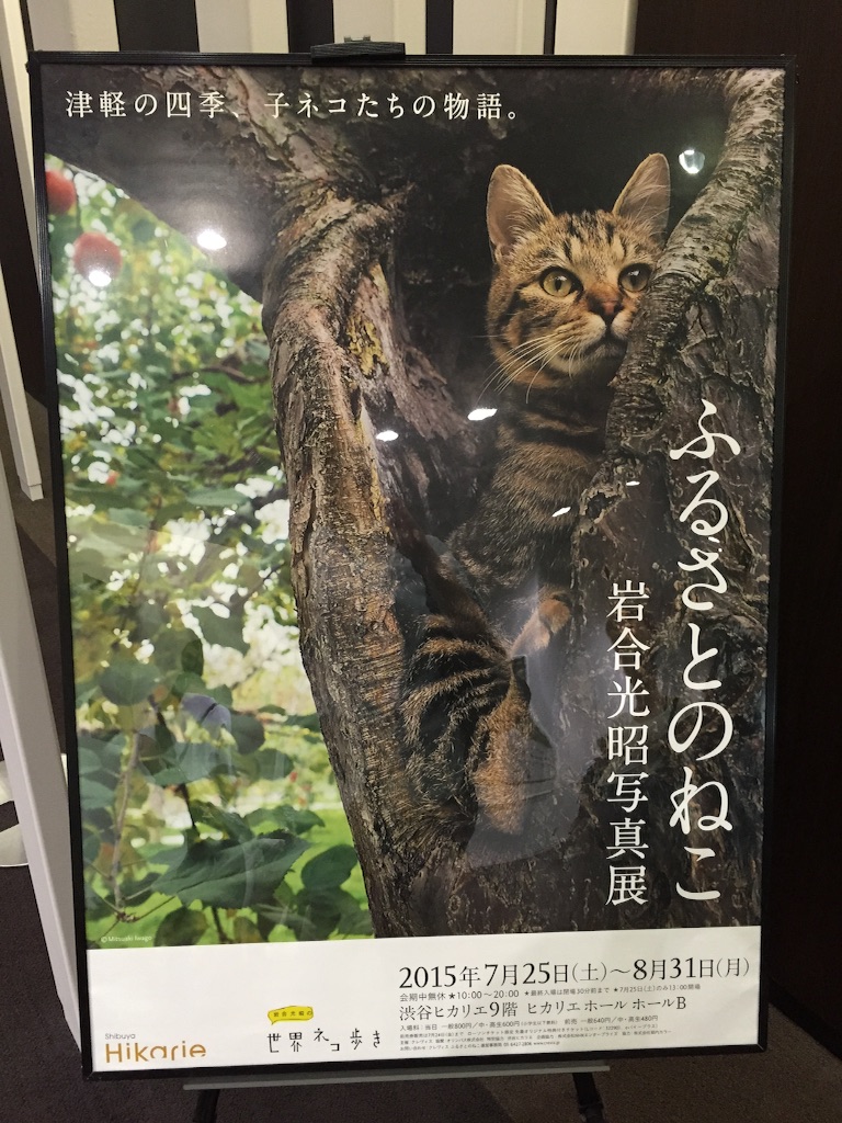 f:id:utakatax:20150823155856j:image f:id:utakatax:20150823155856j:image