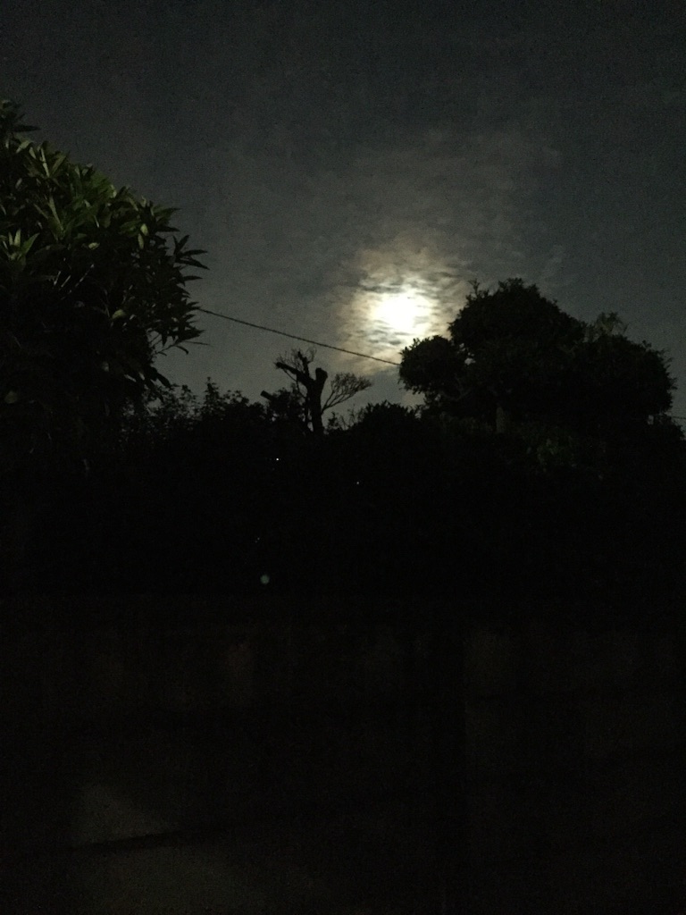 f:id:utakatax:20150929194400j:image f:id:utakatax:20150929194400j:image