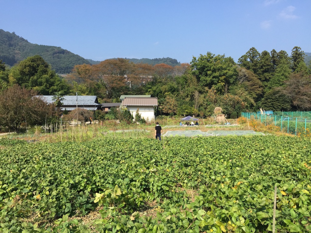 f:id:utakatax:20151024220557j:image f:id:utakatax:20151024220557j:image