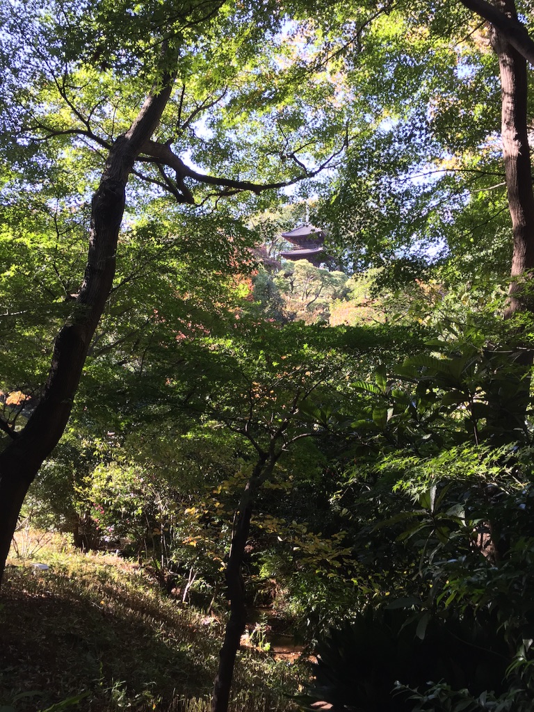 f:id:utakatax:20151201204610j:image f:id:utakatax:20151201204610j:image