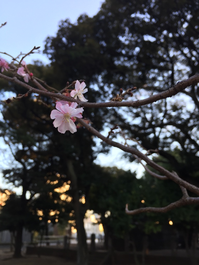 f:id:utakatax:20160110000603j:image f:id:utakatax:20160110000603j:image