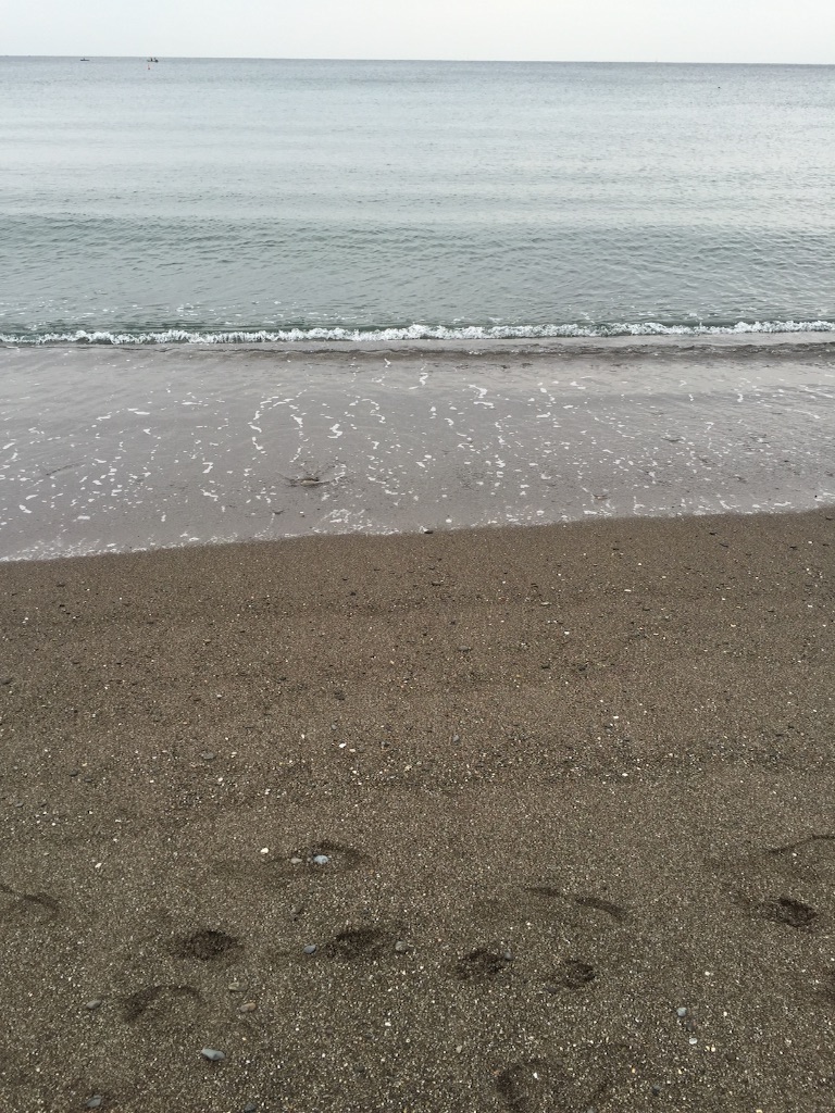 f:id:utakatax:20160121130411j:image f:id:utakatax:20160121130411j:image