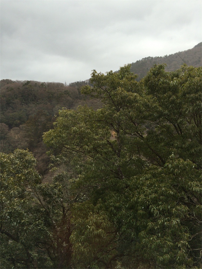 f:id:utakatax:20160228180718j:image f:id:utakatax:20160228180718j:image