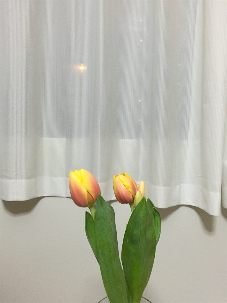 f:id:utakatax:20160320233735j:image f:id:utakatax:20160320233735j:image