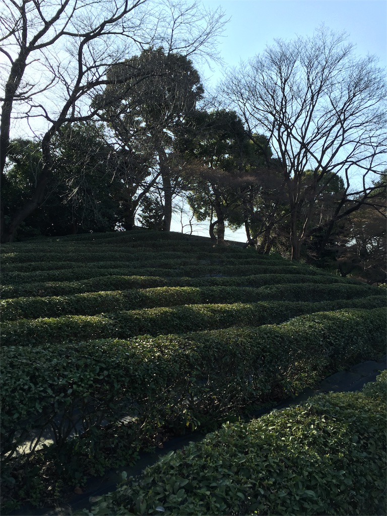 f:id:utakatax:20160326235322j:image f:id:utakatax:20160326235322j:image